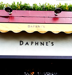 All Saints Plastering job at Daphne's restaurant South Kensington London