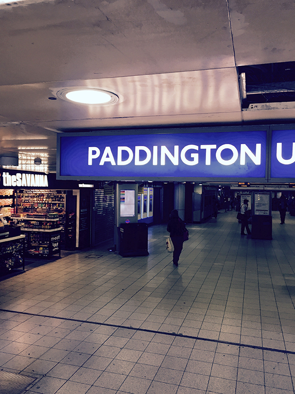 paddington1